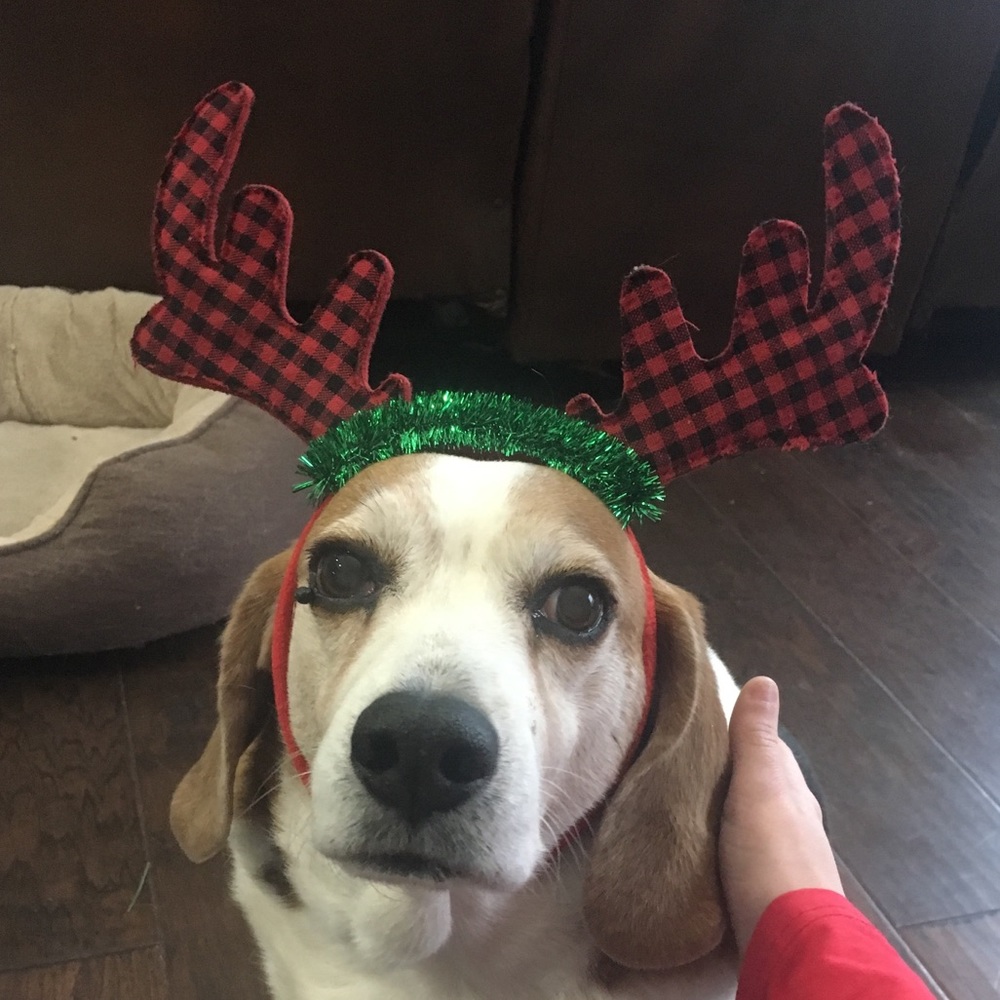 Meet your Posher, Cambel